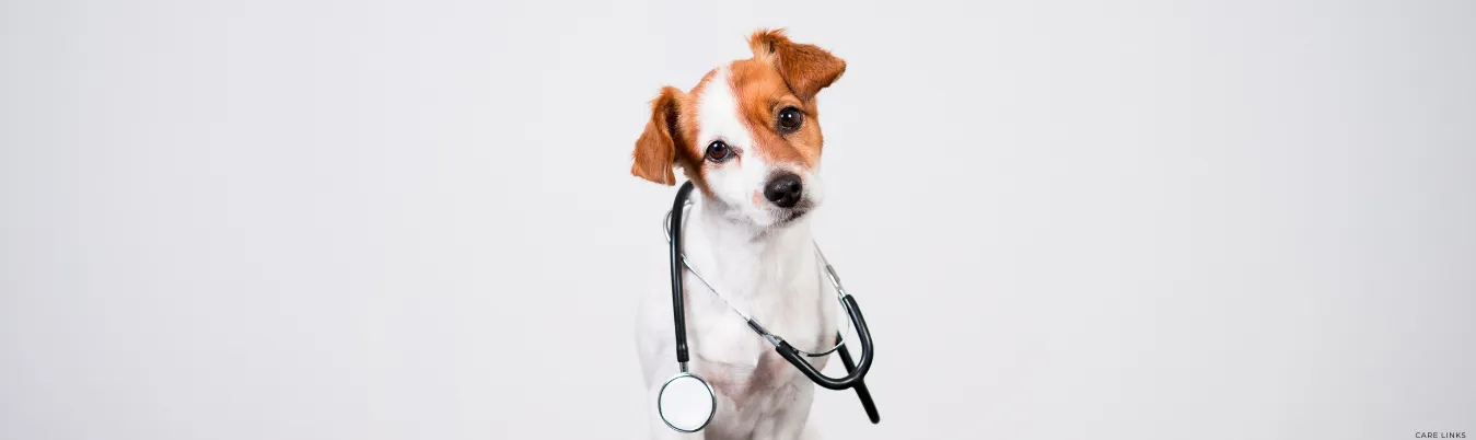 Bästa priser på alla behandlingar